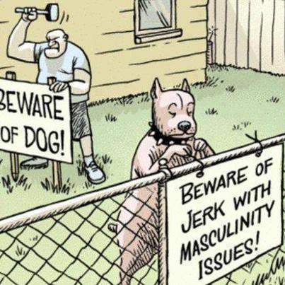 Get Latest Beware of dog comics cartoons and strips stories dog jokes humour fun stuff by teluguone comedy